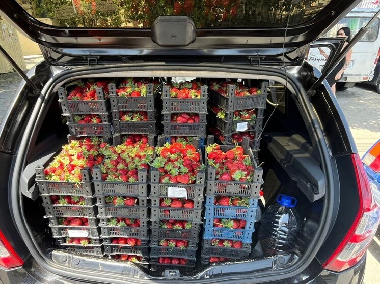 В Адлерском районе правоохранители продолжают пресекать незаконную торговлю