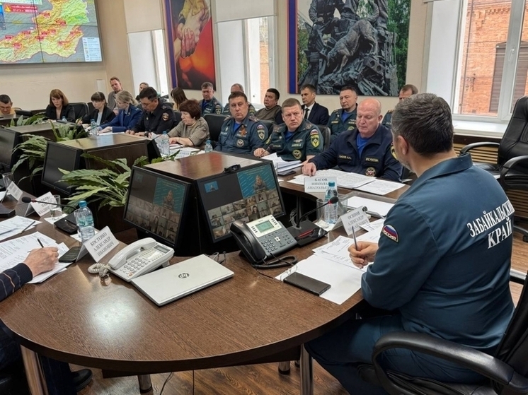 Осипов заявил, что необходимо пересмотреть борьбу с поджигателями лесов