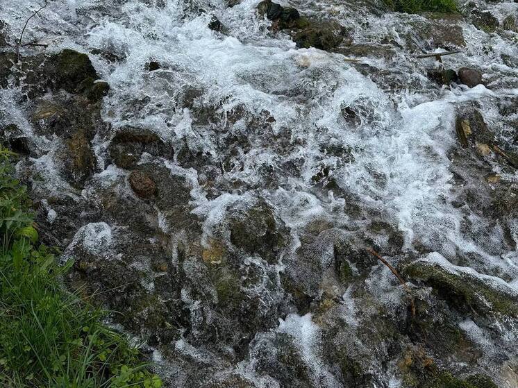 Токсиколог Кутушов рассказал о бактериях и вирусах в родниковой воде