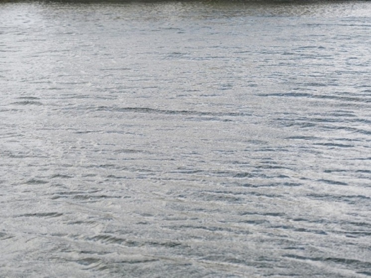 Уровень воды в Волге и Ахтубе находится на контроле волгоградских спасателей