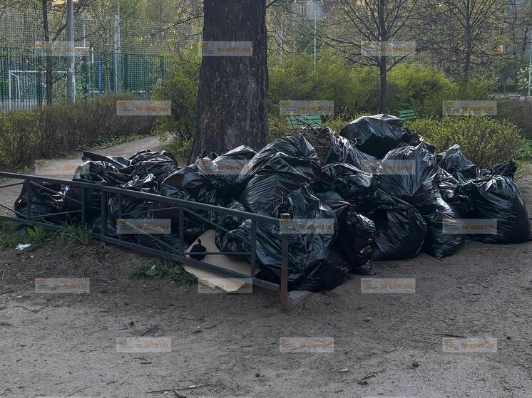 Петербуржцы пожаловались на мусорные пакеты в Выборгском районе