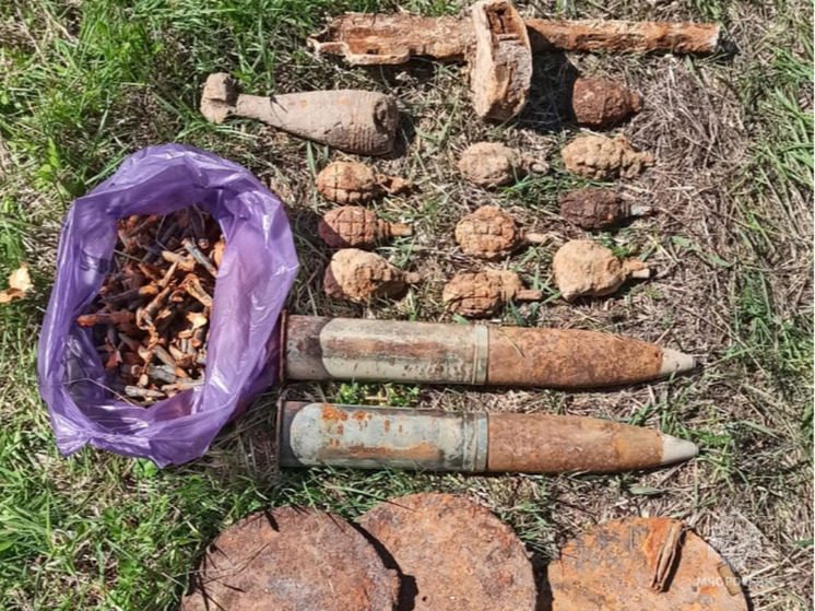 В Мещовском и Жиздринском районе ликвидировали 16 боеприпасов