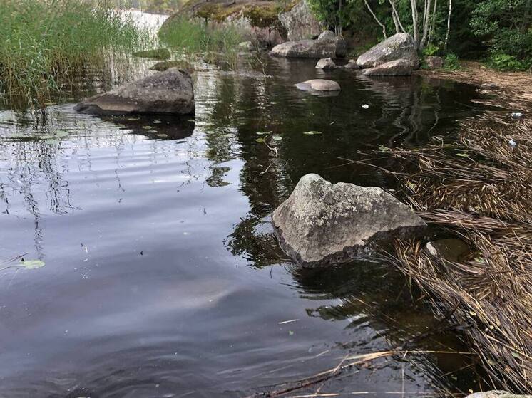 In Priozersk district, the circumstances of the death of a 6-year-old boy are being investigated