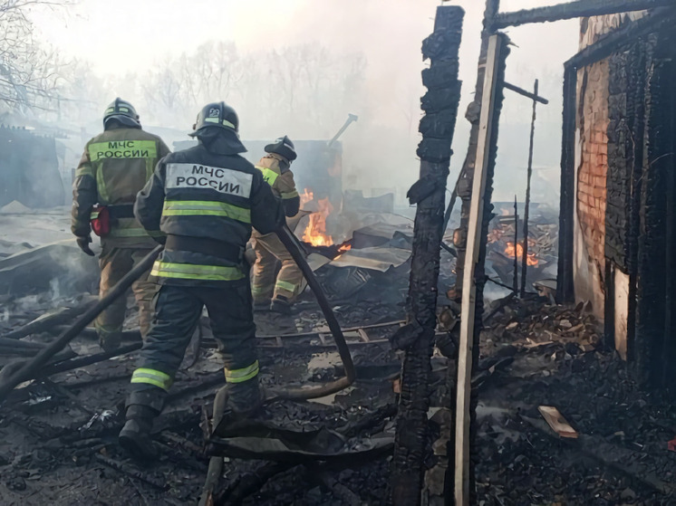 С начала 2025 года в Хабаровском крае от пожаров погибли 48 человек