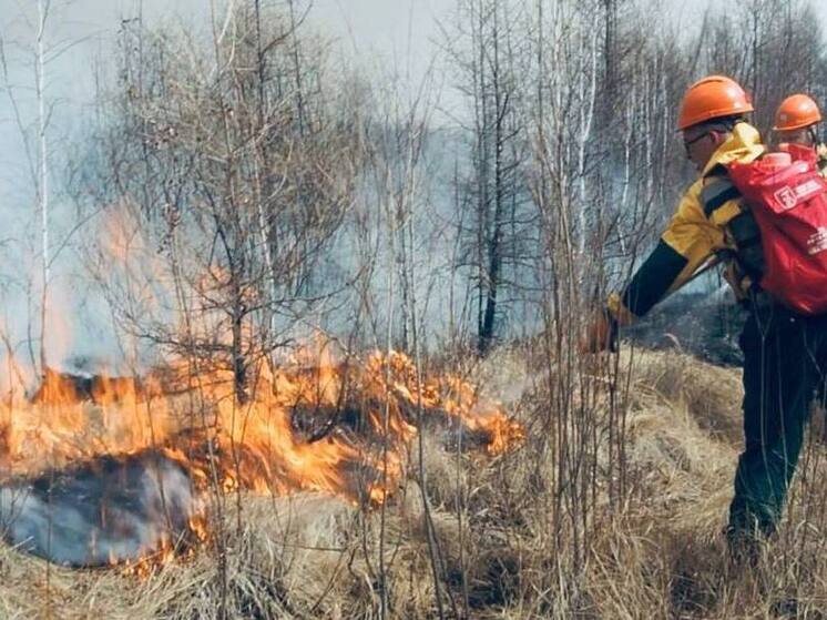 В Бурятии локализован пожар, угрожающий населенному пункту