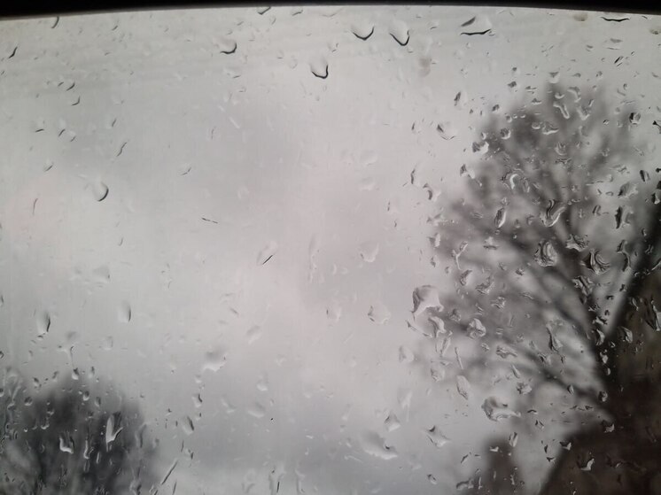 Синоптик Вильфанд предупредил о сильных дождях с градом и ветром в Хакасии