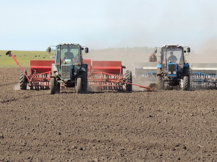 Посевная кампания стартовала в восьми районах Хакасии