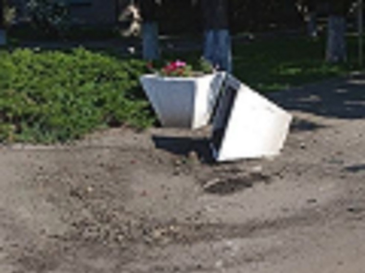 В Ясиноватой злоумышленники уничтожили клумбы с цветами