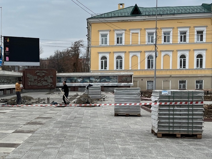 Спикер Госдумы раскритиковал разломанную плитку в центре Саратова