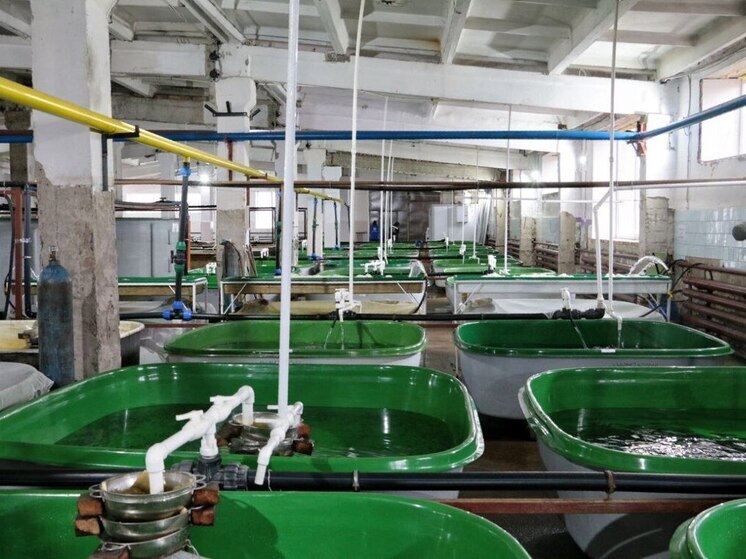 Александр Жуков рассказал подробности визита сенаторов в Хакасию