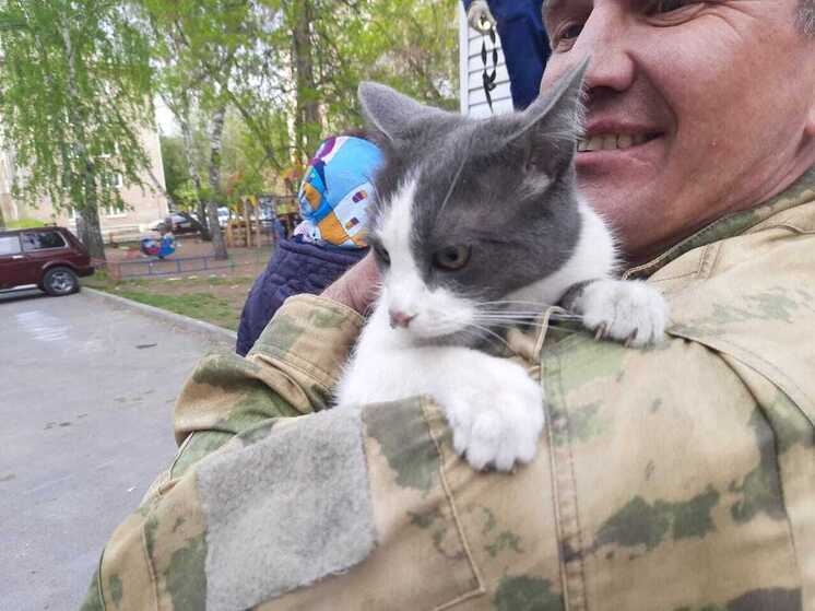 В Уфе спасли застрявшую под кровлей кошку