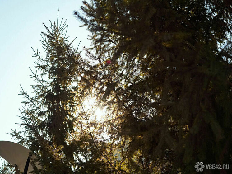 Прогноз синоптиков обещает тепло до +19°C в Кузбассе