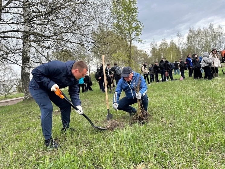 В Кинешме прошла акция «Роща Победы»