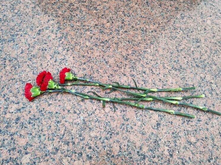Во Всеволожском районе вандалы изуродовали памятник погибшим воинам