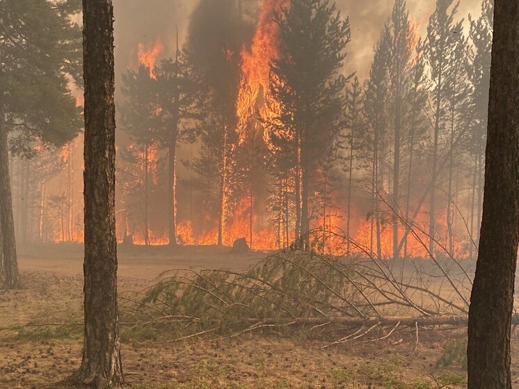 Огонь уничтожил бывший аэродром в Кемском районе Карелии