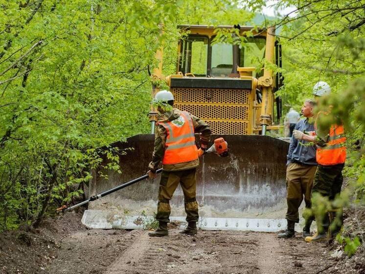 В Севастополе усиливают защиту лесов от пожаров