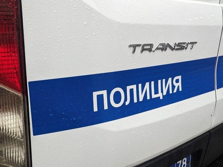 Молодая девушка разбилась на квадроцикле под Петербургом