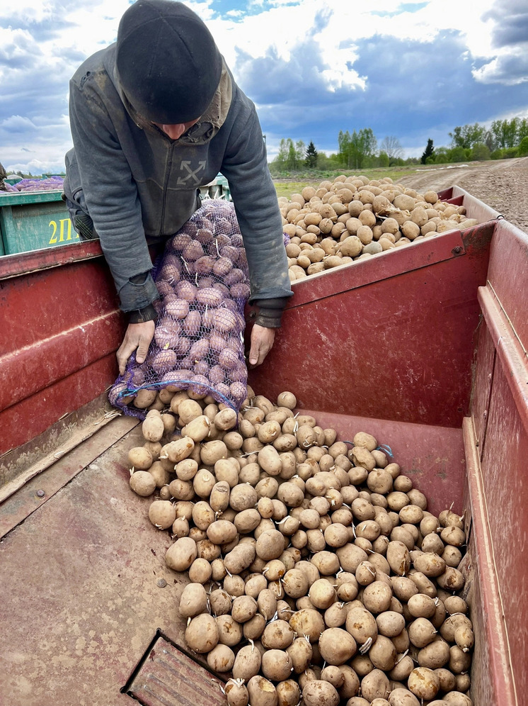 В Смоленской области начался прием заявок на грант "Агростартап"