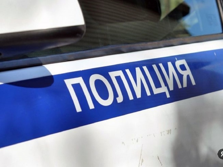 Ярославская полиция проверит, кто стрелял в районе Суздалки