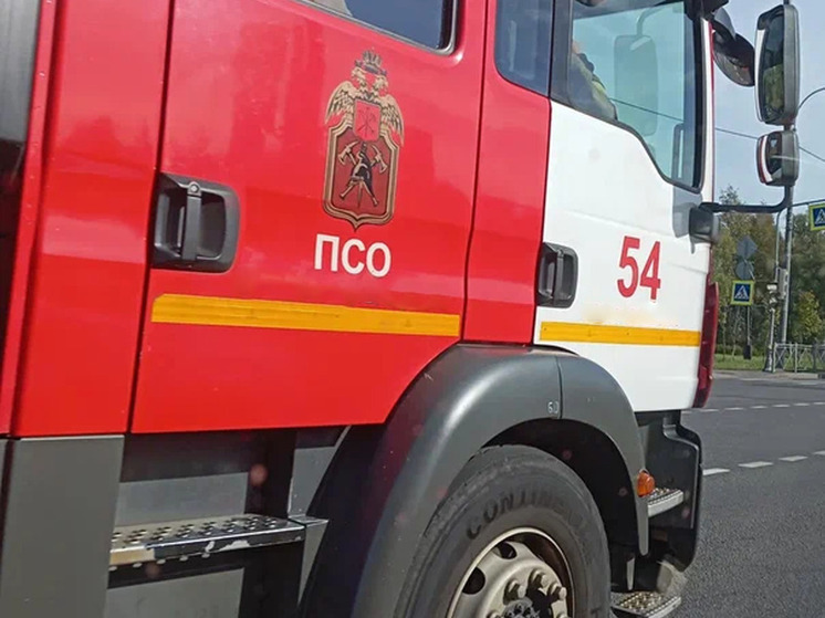 В Новгородской области 10 мая загорелись три бани