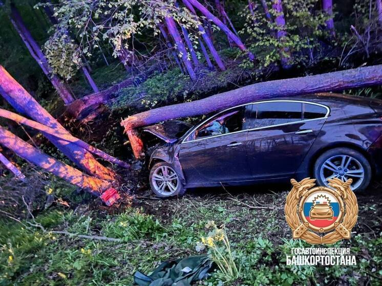 В Агидели лось спровоцировал аварию, в которой погиб человек