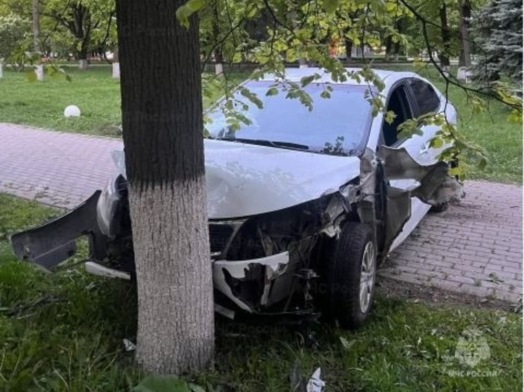 Иномарку в Калуге остановило дерево