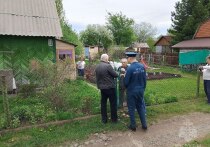 Теплая погода вернется в Алтайский край уже ближайшие дни, что сподвигнет людей проводить много времени на своих дачных участках и на участках в частном секторе