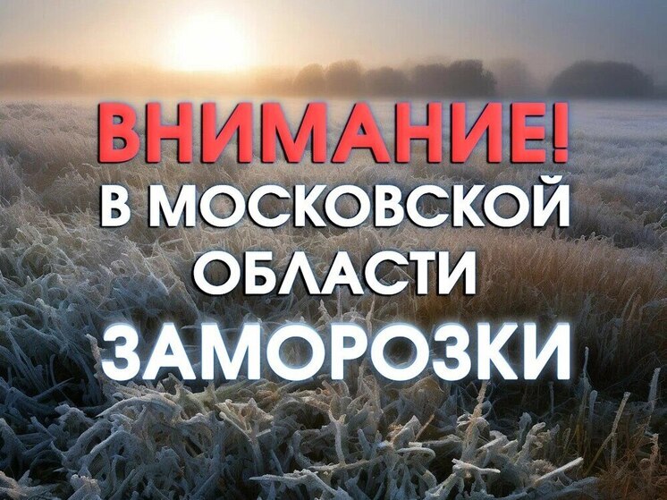 В Московской области прогнозируются заморозки