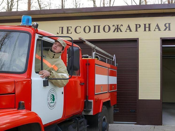 Патрулирование нижегородских лесов проводится по графику