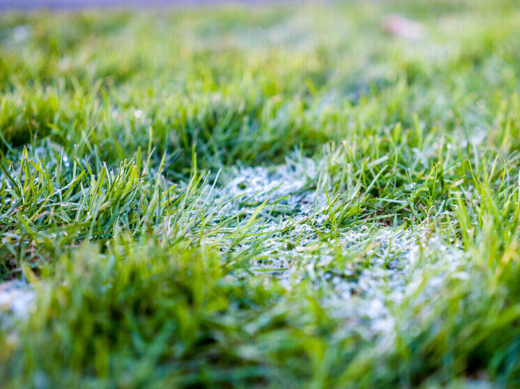 Жителям Калужского региона вновь сообщают о ночных заморозках