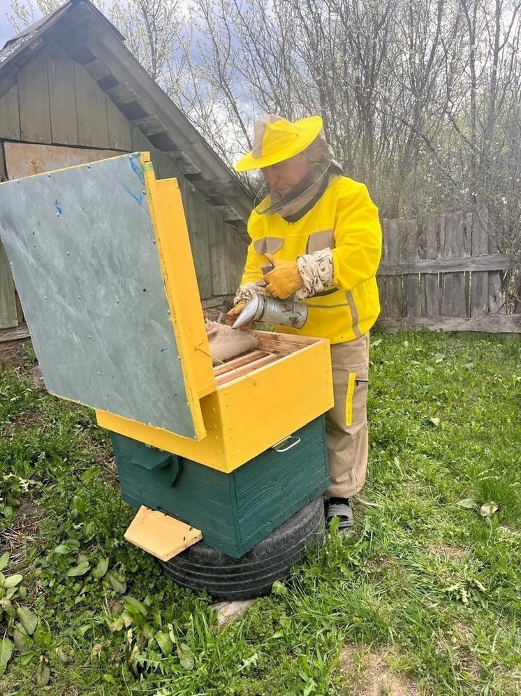 Глава Ульяновского района приступил к работам на пасеке