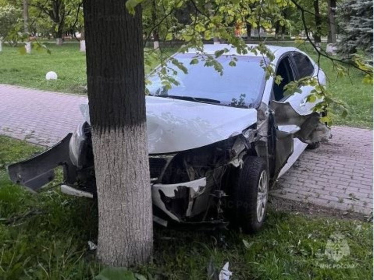 В Калуге пострадал пассажир въехавшего в дерево Kia Rio