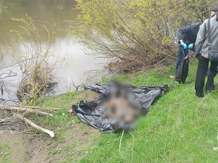 В Башкирии утонули два человека