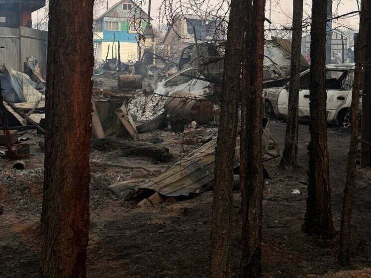 Читинка рассказала, как спасали от пожара дачи возле Смоленки  