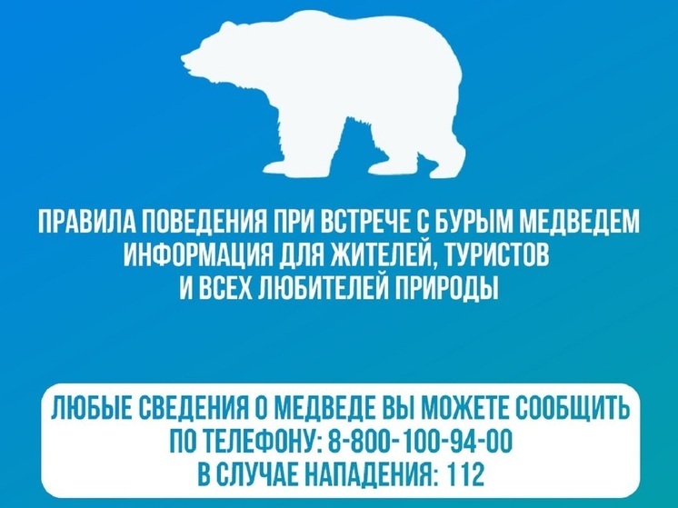 У поселка Надымского района заметили следы медведей