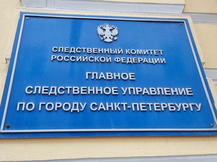 Дело с избиением экс-хоккеиста СКА из-за денег ушло под контроль Бастрыкина
