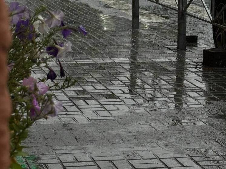 Сильные дожди с грозами промчатся по Хакасии 12 мая