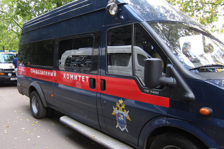 СК инициировал проверку обстоятельств получения гражданства родителями детей, осквернивших георгиевскую ленту