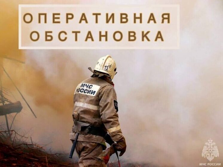 За сутки сотрудники МЧС Тверской области тушили шесть пожаров