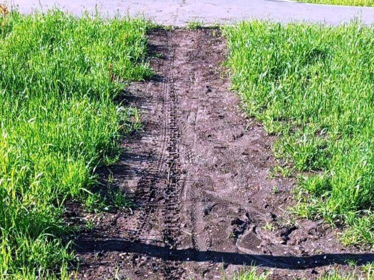 В сквере на Прессовой орудуют вандалы
