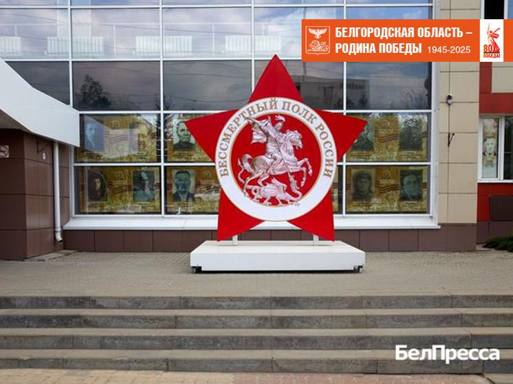 Его открыли в Центре молодежных инициатив Белгорода
Белгородский штаб «Бессмертного полка» открыли, чтобы сохранить память о героях