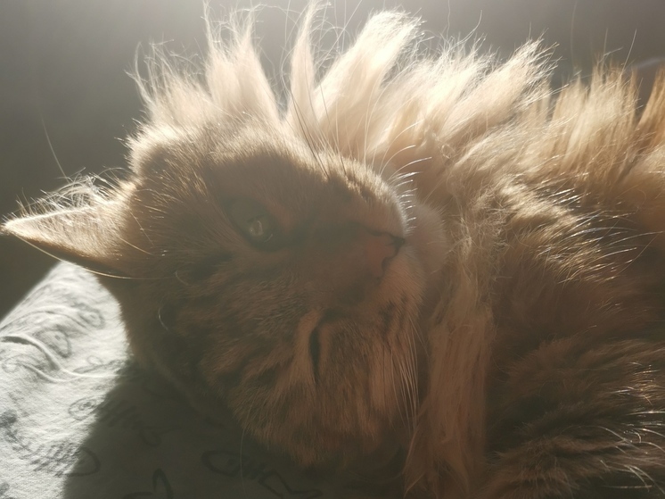 Синоптики рассказали, какая погода будет в Приморье в понедельник, 12 мая