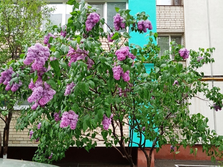 Сила магнитной бури 12 мая составит 2 балла: удачный день для домашних дел