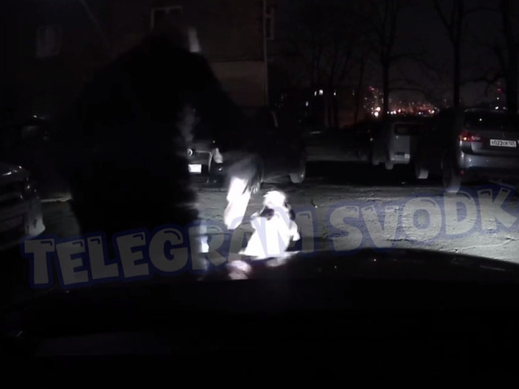 Агрессивная собака держит в страхе жителей улицы Кузнецова во Владивостоке