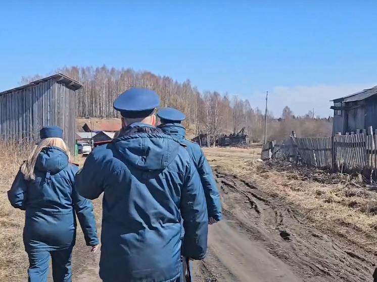 Нарушения правил пожарной безопасности выявлены в Плесецком округе