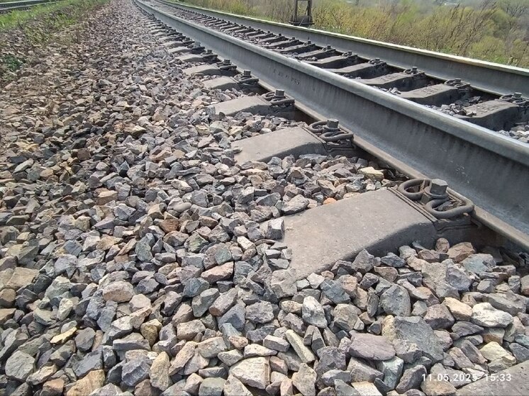 В Амурской области после столкновения машины с поездом погиб человек