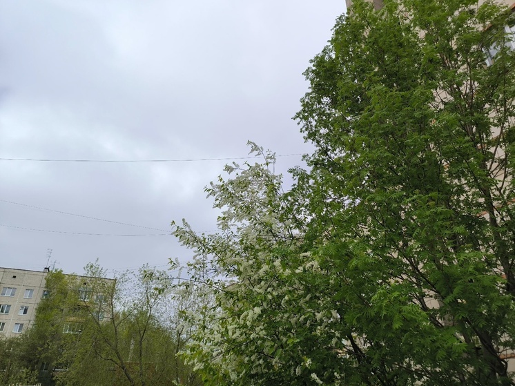 Температура воздуха в Томске 12 мая повысится до +13