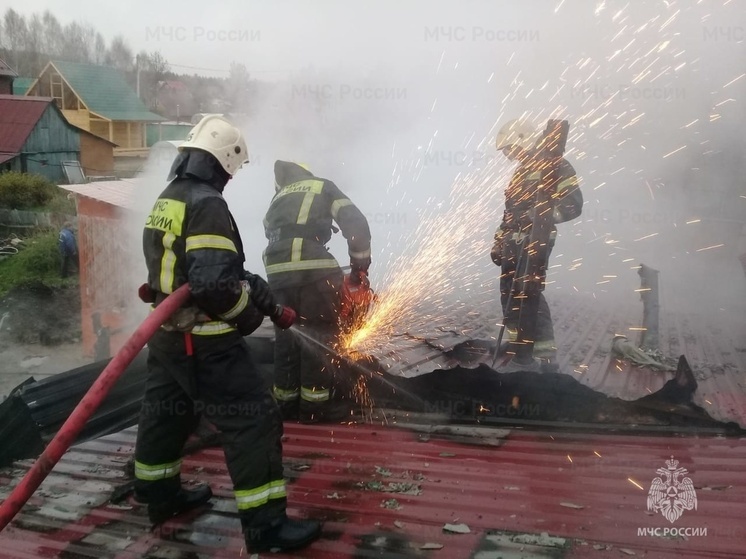 Огонь повредил частный гараж, постройки и «Газель» в СНТ в Екатеринбурге