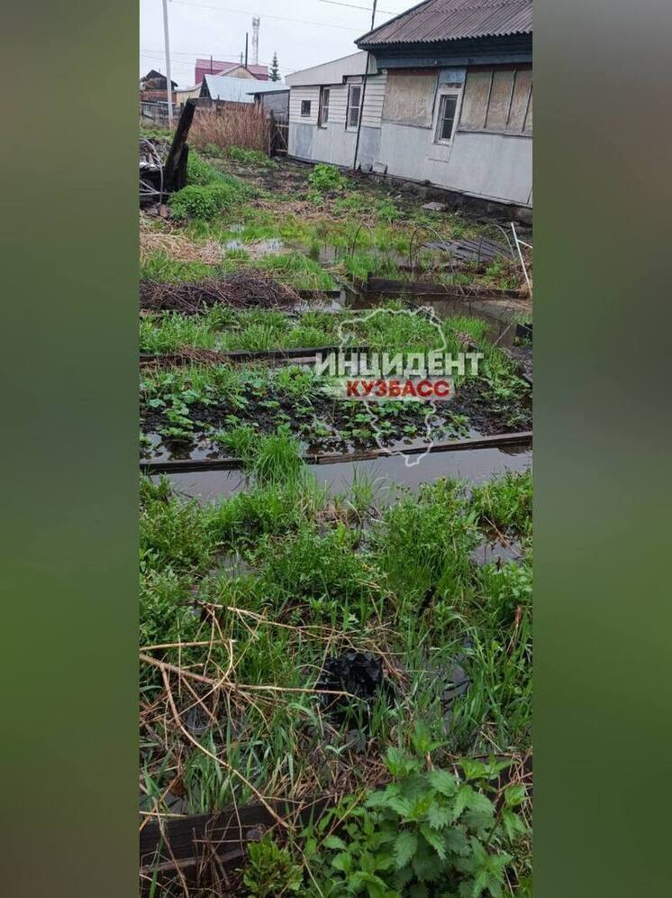 В Белове подземные воды затопили огороды