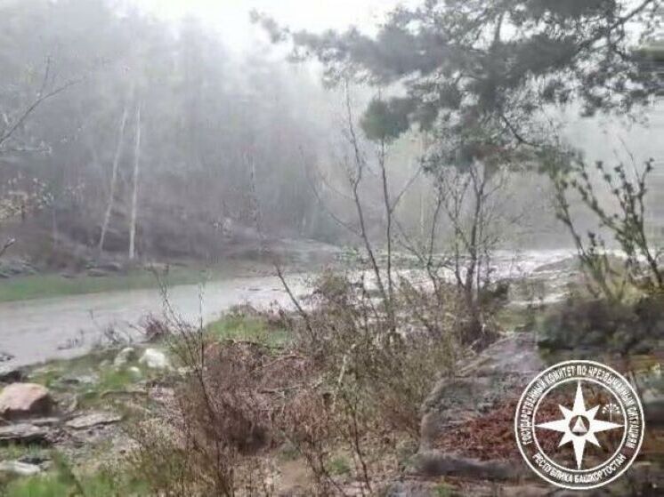 Две реки Башкирии показали наибольшее снижение уровня